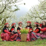 Mai Chau and Moc Chau 2 day trip - Who should consider this trip?