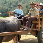 Mai Chau &Pu Luong 3D2N: Local Culture, Farming,Rafting& Swimming - Who Should Consider This Tour?