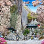 Maisan Cherry Blossom and Jeonju Hanok Village - Practical Tips and Insights