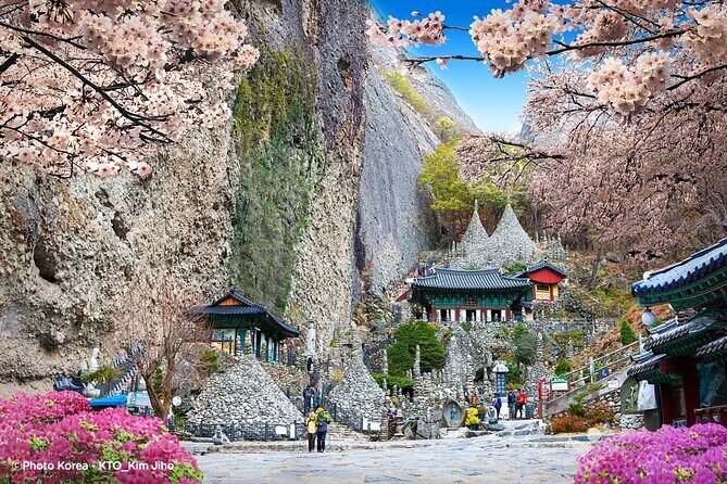 Maisan Cherry Blossom and Jeonju Hanok Village - Practical Tips and Insights