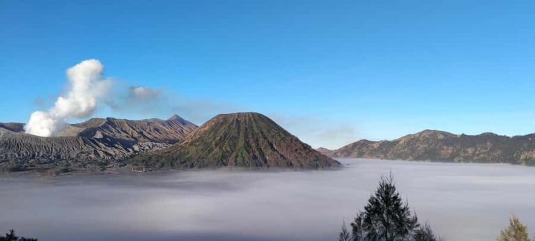 Malang : explore Bromo sunrise - Authentic Insights from Travelers & Guides