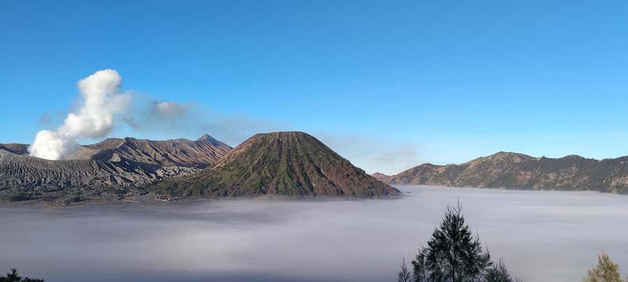 Malang : explore Bromo sunrise - Authentic Insights from Travelers & Guides