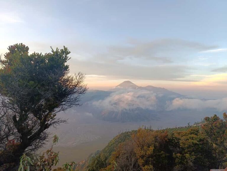 Malang/Surabaya: Stargazing Bromo Tour 2D1N - Why This Tour Offers Great Value