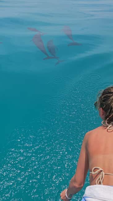 Maldives, Dhiffushi Shared Sunset Dolphin Cruise - Who Will Love This Experience?