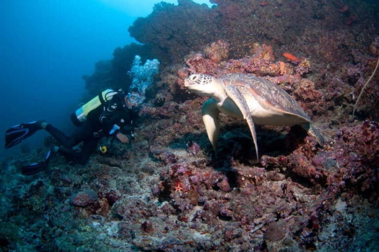 Maldives: Discover Scuba Diving - What to Expect from the Maldives Discover Scuba Diving Tour