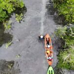 Manado: Tarsier Mangrove Forest Kayak Tour - Why You Should Consider This Tour