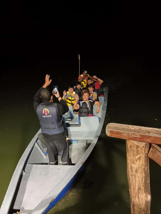 Mangrove discovery tour or fireflies tour - A Closer Look at the Tour Experience