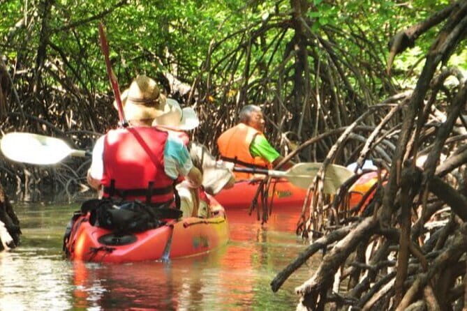 Mangrove Tour by Kayaking in Ko Lanta With Lunch - Transportation, Group Size, and Duration