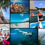 Manila: Beach Snorkel and Island Hopping - What to Expect and Practical Tips