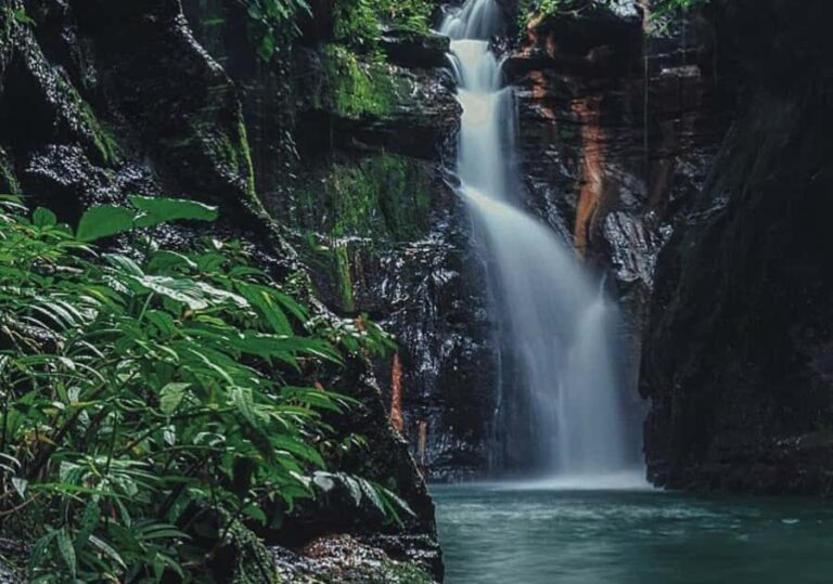 Manila: Hidden Valley Springs Day Tour with Lunch - Detailed Breakdown of the Itinerary