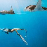 Manta Point Snorkeling & West Nusa Penida Island Day Tour - What Makes This Tour Stand Out?
