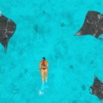 Manta Point Snorkeling & West Nusa Penida Island Day Tour - What to Expect from the Itinerary