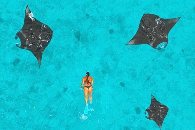 Manta Point Snorkeling & West Nusa Penida Island Day Tour - What to Expect from the Itinerary