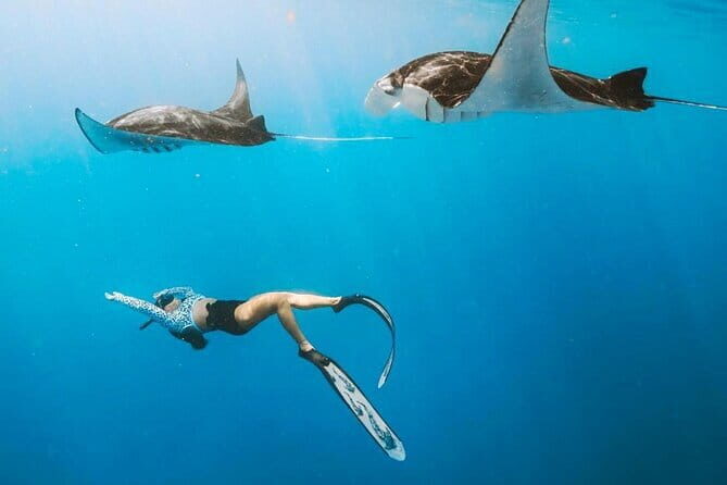 Manta Point Snorkeling & West Nusa Penida Island Day Tour - What Makes This Tour Stand Out?