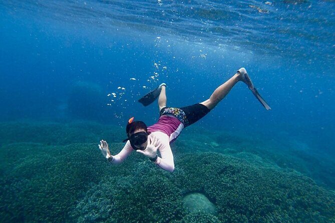 Manta Ray Snorkeling From Bali - Practical Details & Tips