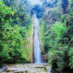 Mantayupan Falls & Moalboal: Snorkeling & Sardine Run Tour - In-Depth Review of the Tour Experience