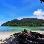 Manukan and Sapi Islands Excursion in Malaysia - What the Reviews Tell Us