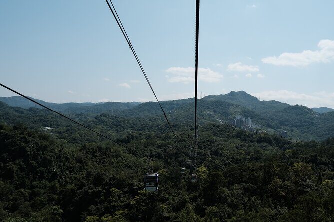 Maokong Gondola and Camphor Trail - Who Is This Tour Best For?