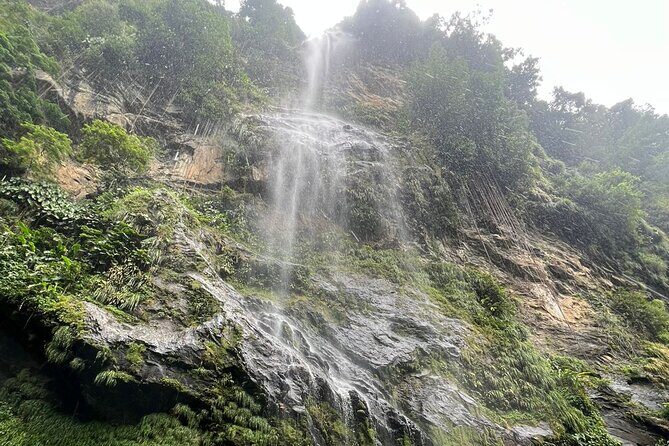 Maracas Waterfall - Who Will Love This Tour?