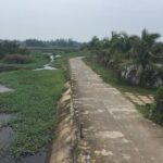 Marble Mountains & Hoian Walking Tour - Biking Through Rural Hoi An