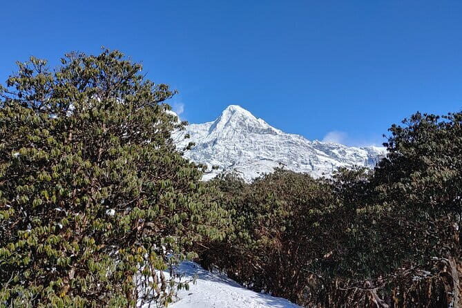 Mardi Himal Trek - Day 3: Summit Day – Mardi Himal Base Camp or Viewpoint