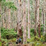Margaret River Getaway 2 Day Tour - Value for Money & Who It’s Best For
