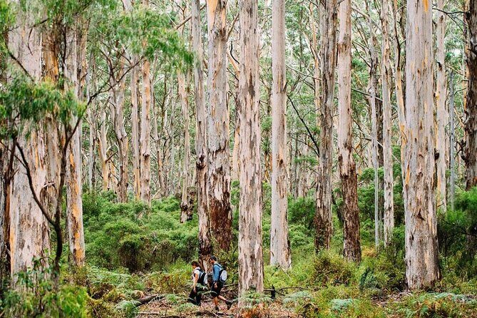 Margaret River Getaway 2 Day Tour - Value for Money & Who It’s Best For