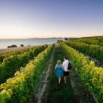 Marlborough Wine Tour: Including Cloudy Bay and Lunch - What Makes This Tour Stand Out?
