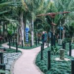 Matakana Art & Wine Village Private Tour - Sculptureum: Beyond Just Art