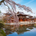 Matcha Grinding Experience and Walking Tour in Uji Kyoto - The Itinerary: What You’ll Experience