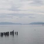 Matsue 4hr Private Tour with Government-Licensed Guide - What to Expect on the Day