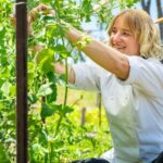 McLaren Vale 4x4 Premium Food and Wine Tour with Private Lunch - Detailed Experience Breakdown