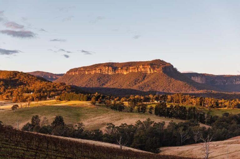 Megalong Valley: Wine Tasting and Stargazing Experience - Final Thoughts