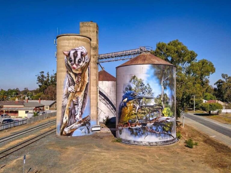 Melbourne: Murray River Paddle Steamer, Wine & Wildlife Tour - What to Expect on This Full-Day Tour