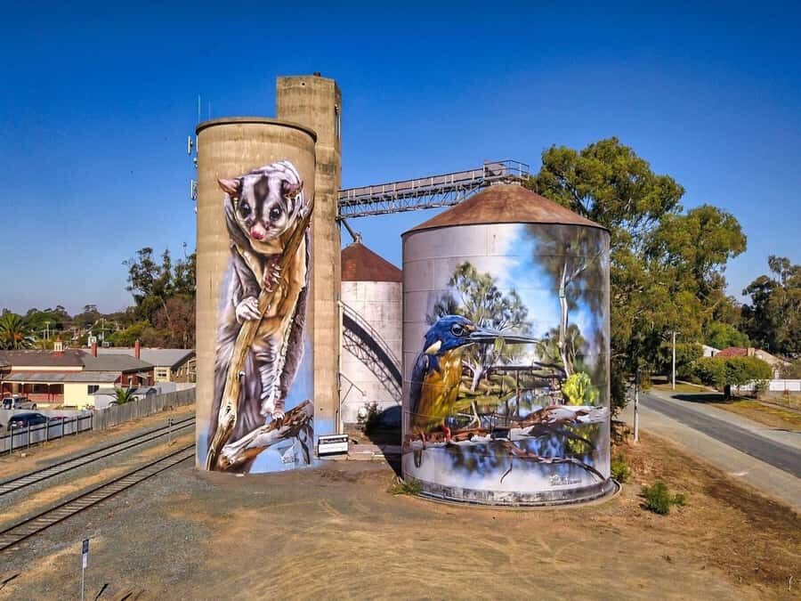 Melbourne: Murray River Paddle Steamer, Wine & Wildlife Tour - What to Expect on This Full-Day Tour