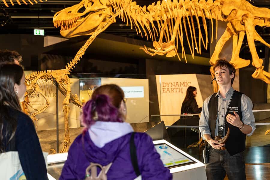Melbourne: Museum Dinosaur Tour with Guide - The Value of the Tour