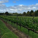 Melbourne: Private Mornington Peninsula & Winery Tours. - Who Would Enjoy This Tour?