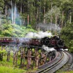 Melbourne: Puffing Billy Railway & Penguin Parade Day Tour - Experience Breakdown: What to Expect