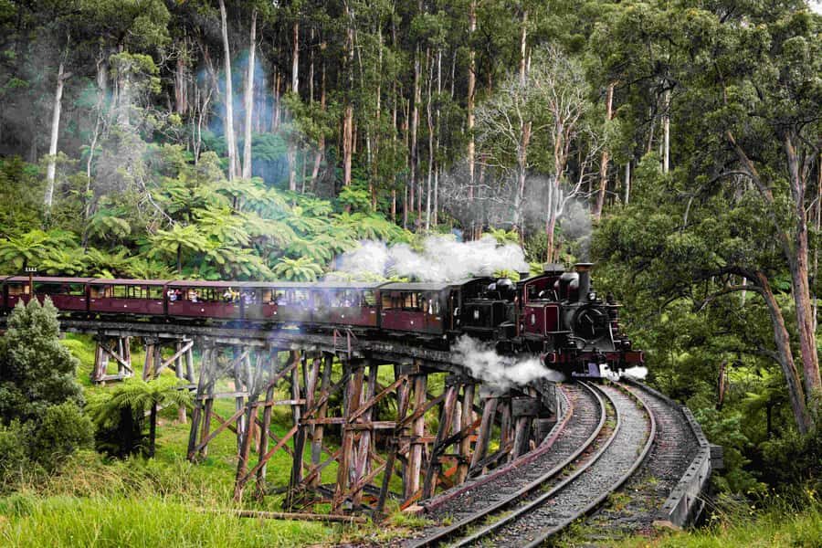 Melbourne: Puffing Billy Railway & Penguin Parade Day Tour - Experience Breakdown: What to Expect
