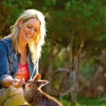 Melbourne Shore Excursion, Wine Region, Wildlife, Shared Tour - The Sum Up