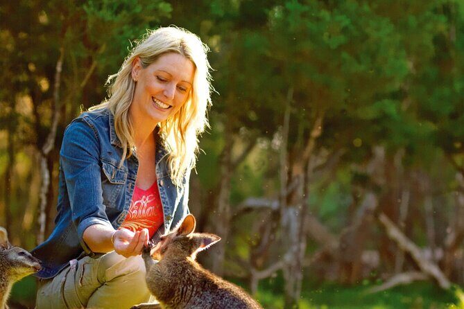 Melbourne Shore Excursion, Wine Region, Wildlife, Shared Tour - The Sum Up