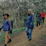 Melbourne Tour: Walk the Yarra & Historic Boathouse Lunch - Practical Details & Considerations