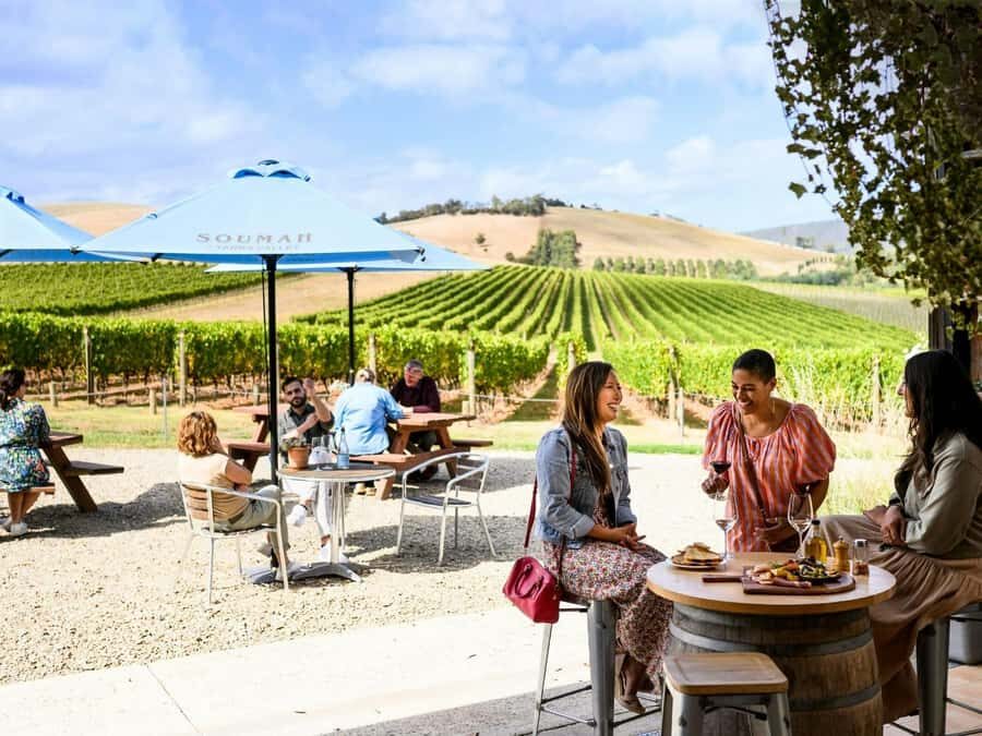 Melbourne: Yarra Valley Half-Day Wine Tour - Additional Stops and Experiences