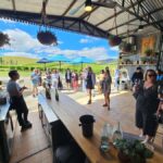 Melbourne: Yarra Valley Wine, Gin, Whisky and Chocolate Tour - What Makes This Tour Stand Out?