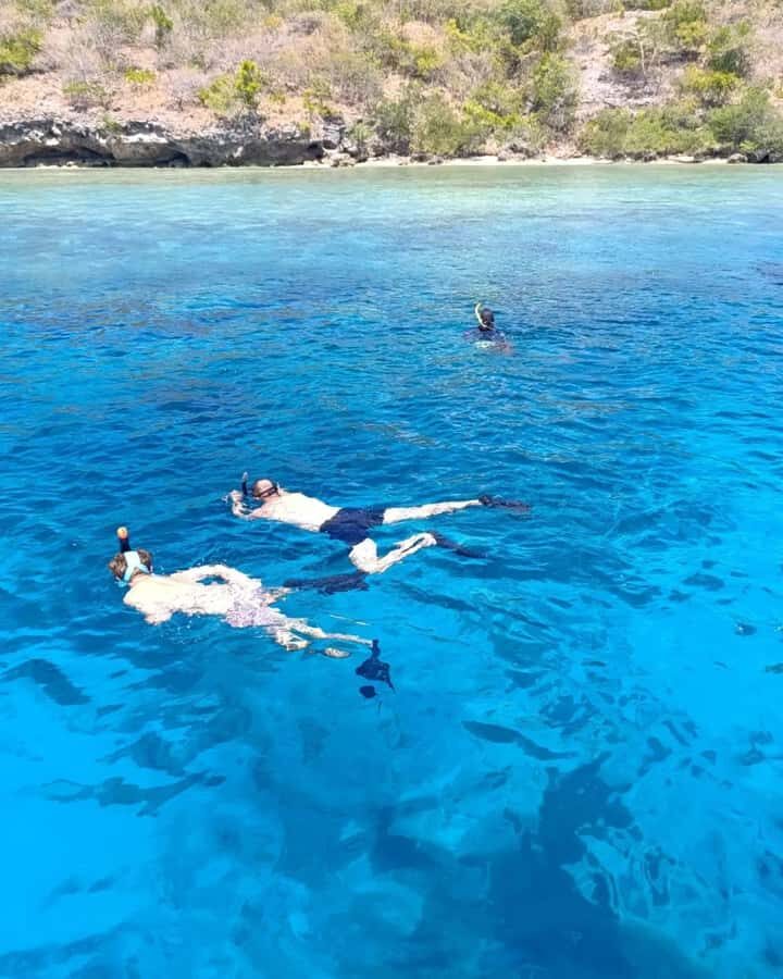 Menjangan Island: Snorkeling Tour with Lunch - Practical Details & What You Should Know