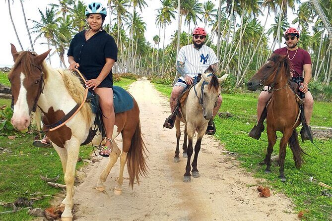 Miches Beach Horseback Riding - The Value: Is It Worth the Price?