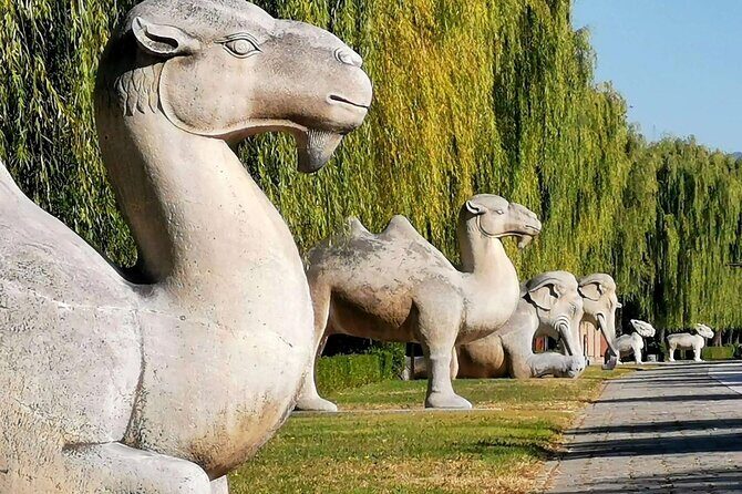 Ming Tombs Entrance Ticket with Optional Guided &Transfer Service - What’s Included and What You Should Consider