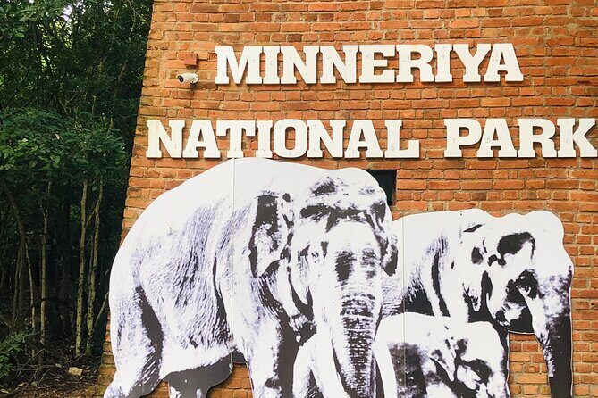 Minneriya Half Day Safari - Why This Safari Offers Real Value