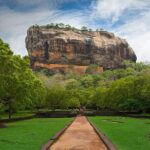 Minneriya National Park ( All Inclusive ) and Sigiriya Day Excursion - Minneriya National Park Safari
