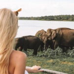 Minneriya National Park Private Safari - Final Thoughts